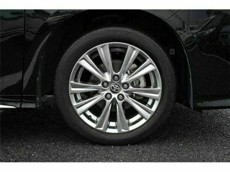 ALPHARD-10