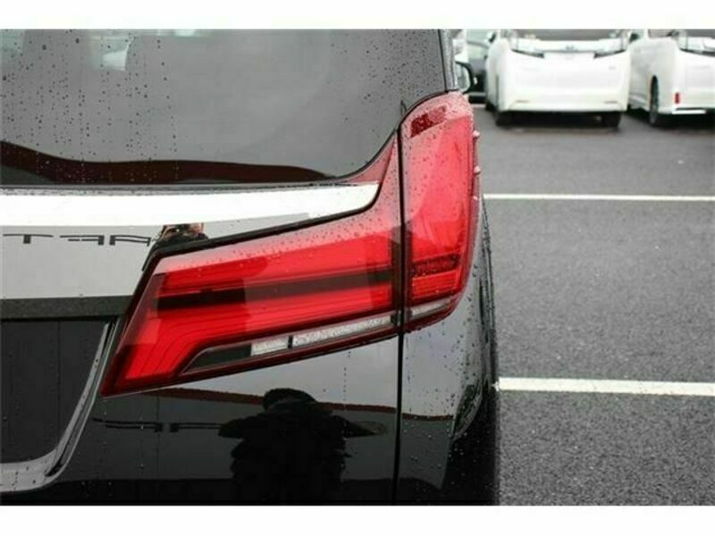 ALPHARD-12