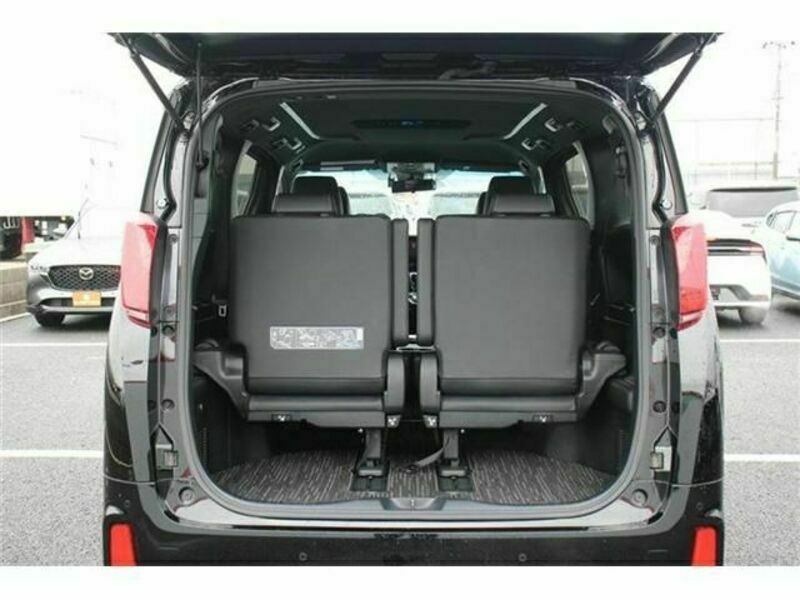 ALPHARD-17