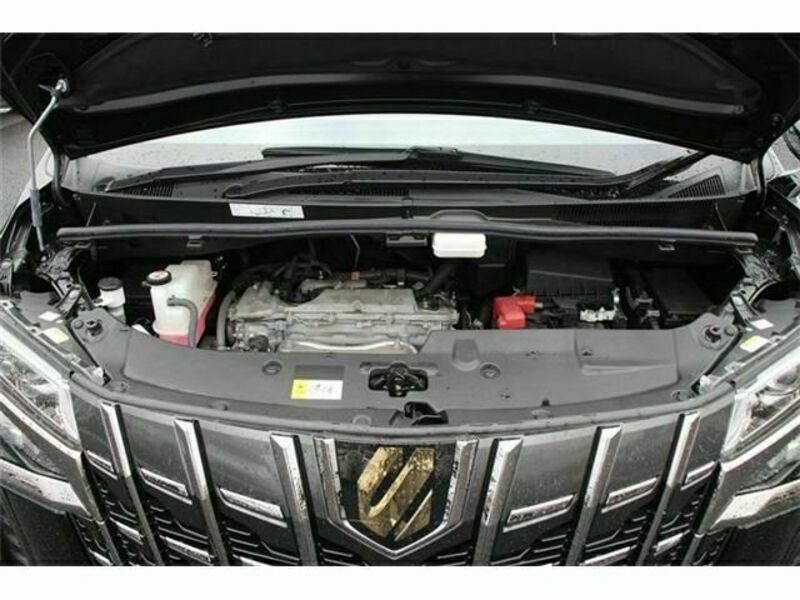 ALPHARD-18