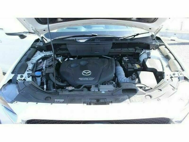 CX-5-17