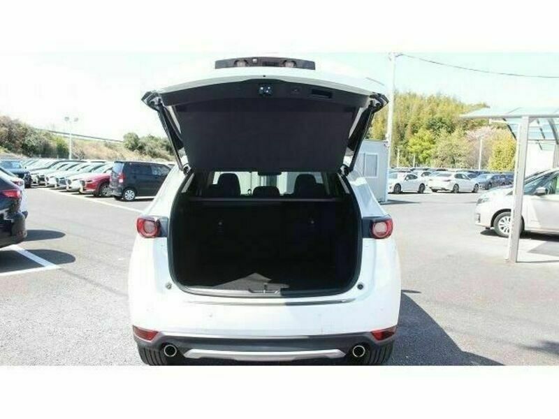 CX-5-18