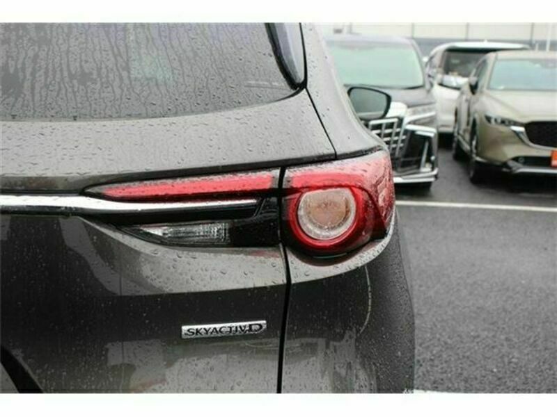 CX-8-12