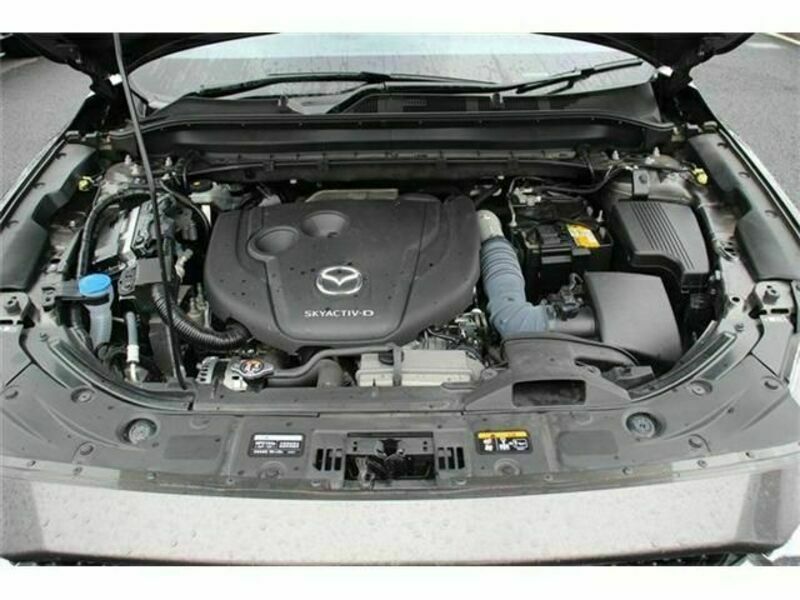 CX-8-18