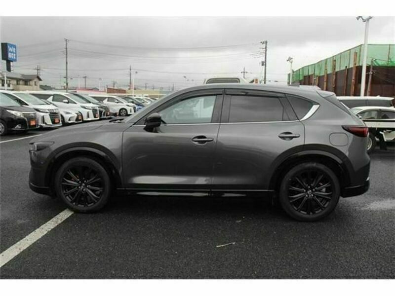 CX-5-8