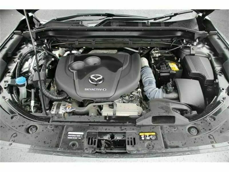 CX-5-18