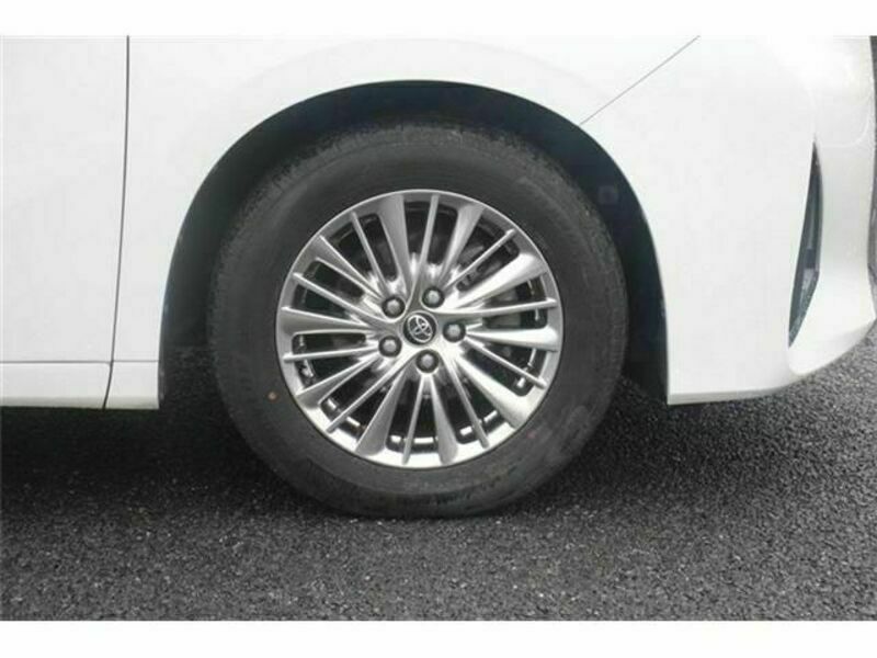 ALPHARD-10