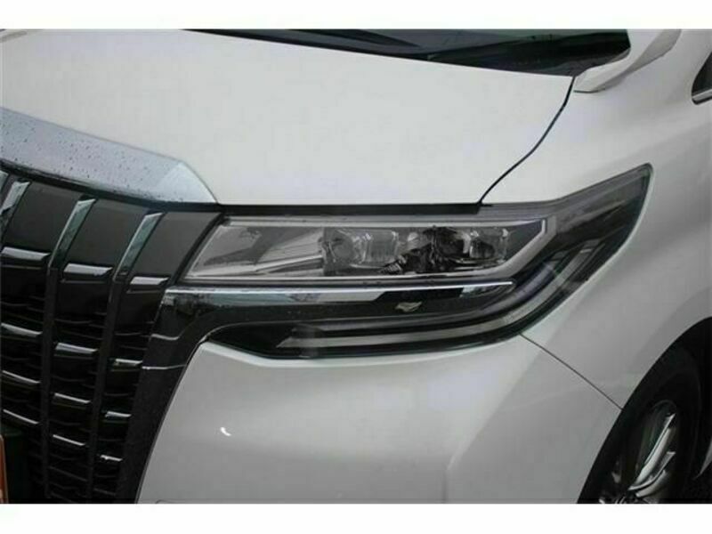 ALPHARD-11
