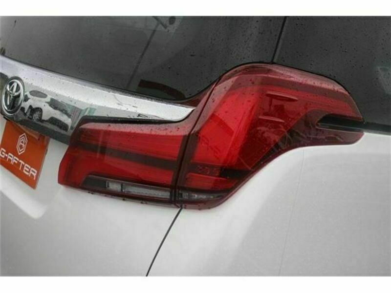ALPHARD-12