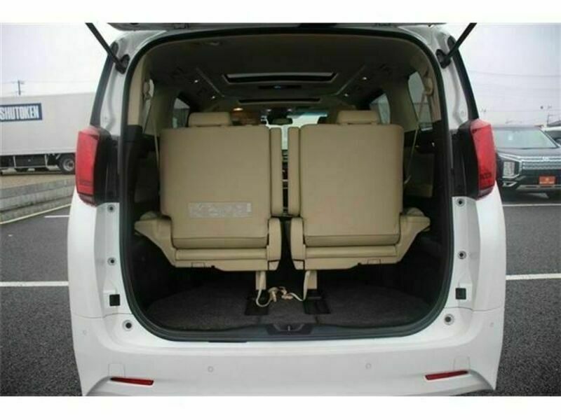 ALPHARD-17