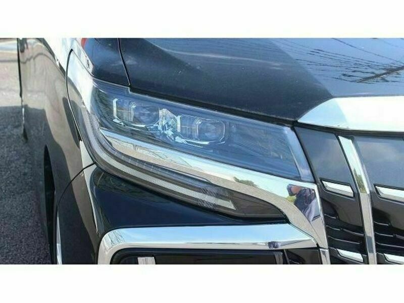 ALPHARD-10