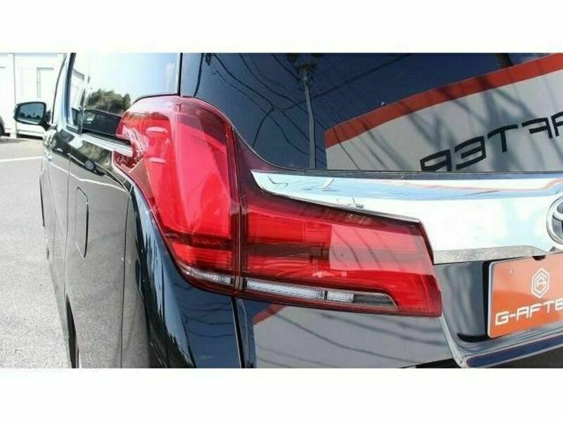 ALPHARD-11