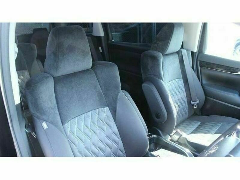 ALPHARD-13