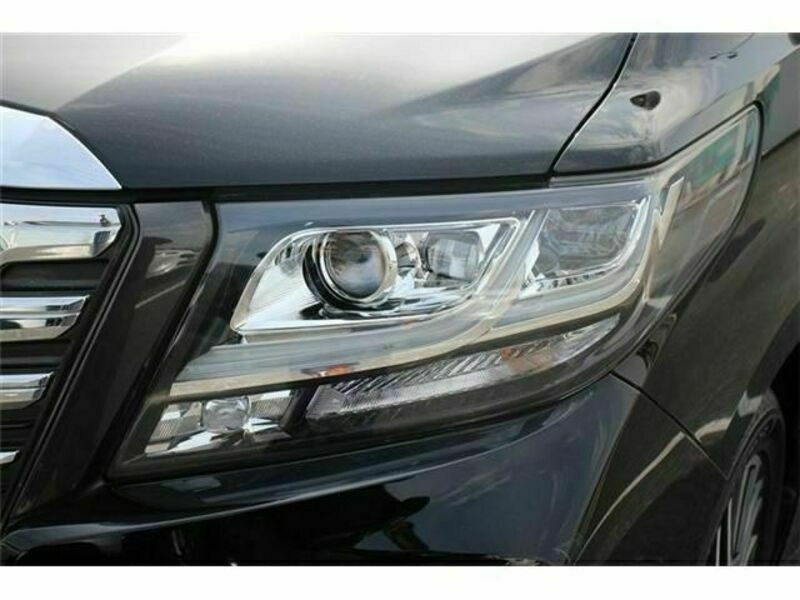 ALPHARD-12