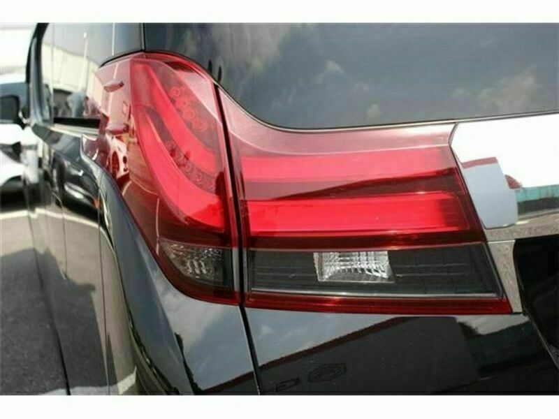 ALPHARD-13