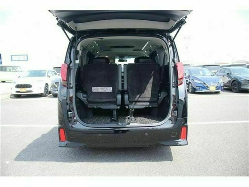 ALPHARD-17