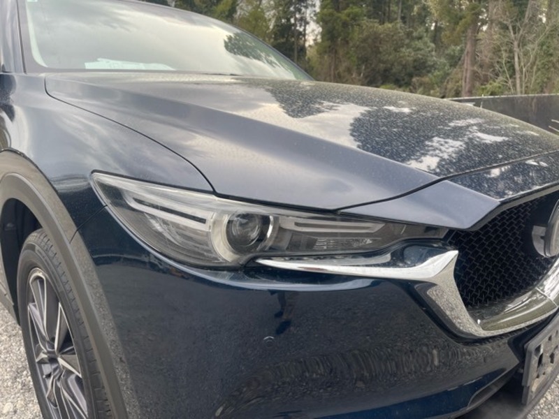CX-5-33