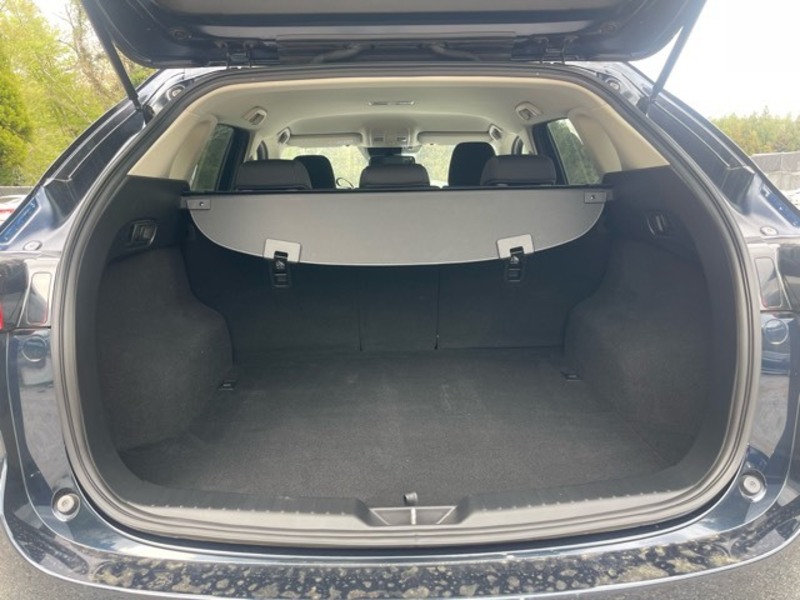 CX-5-19