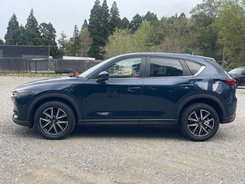CX-5-5