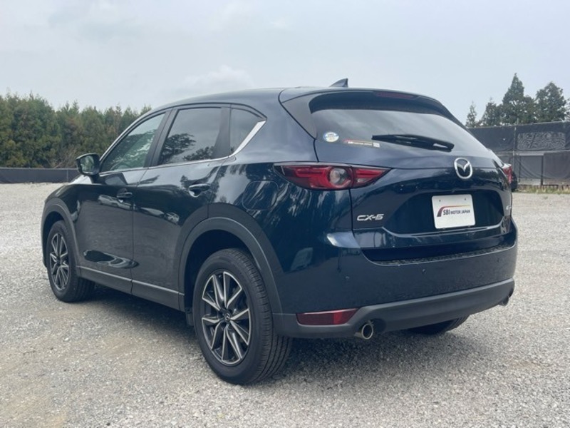 CX-5-6