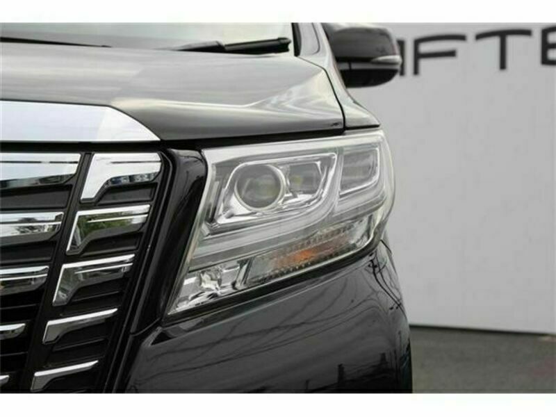 ALPHARD-10
