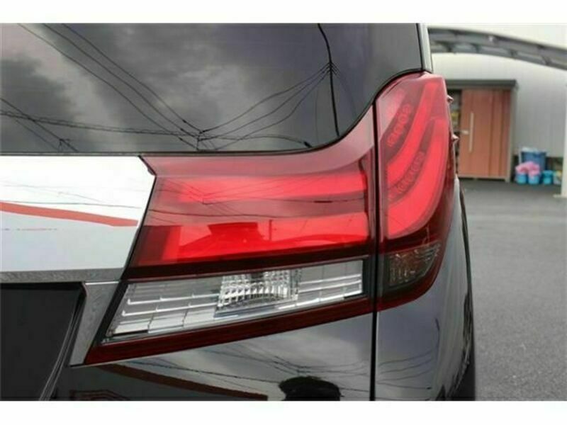 ALPHARD-11