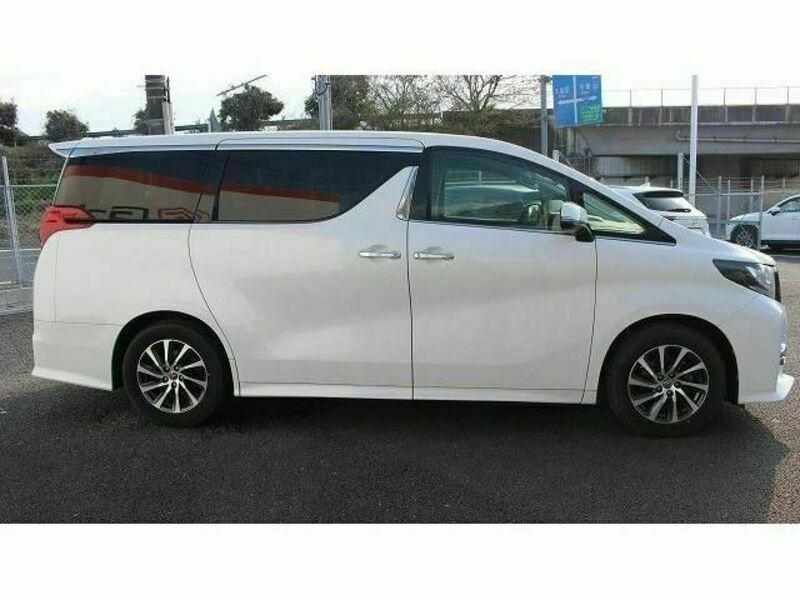 ALPHARD-7