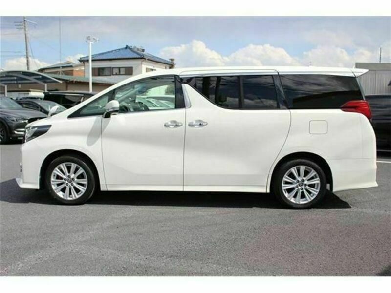 ALPHARD-7