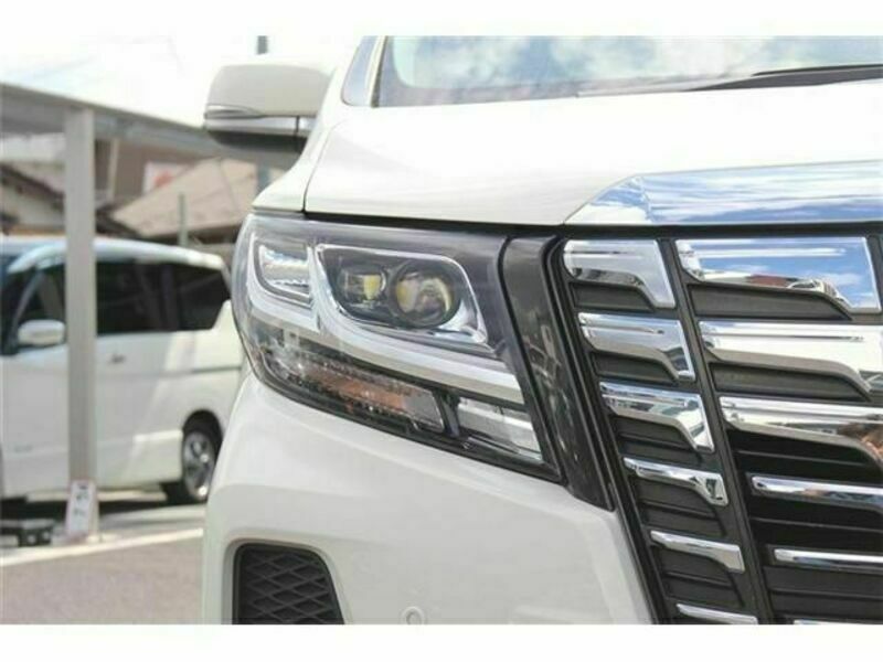 ALPHARD-10