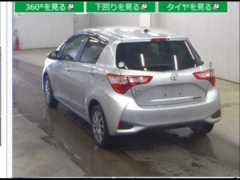 VITZ-1