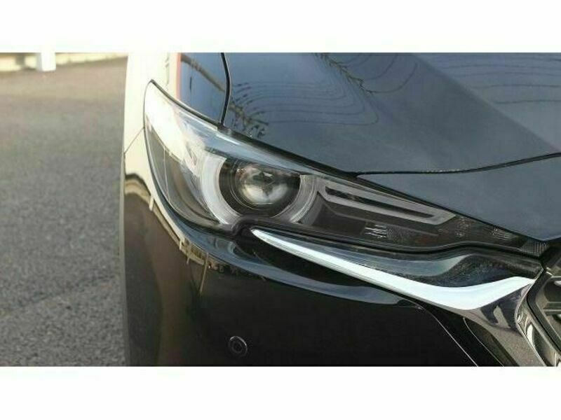 CX-8-10