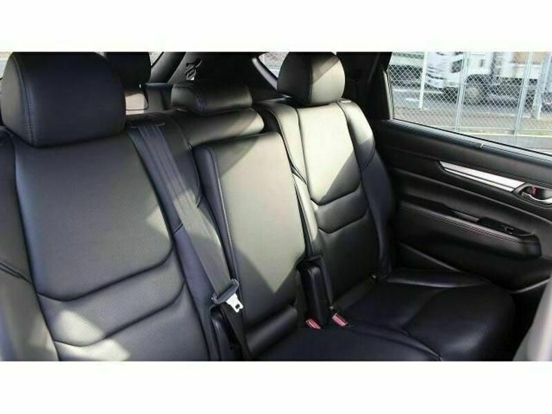 CX-8-14