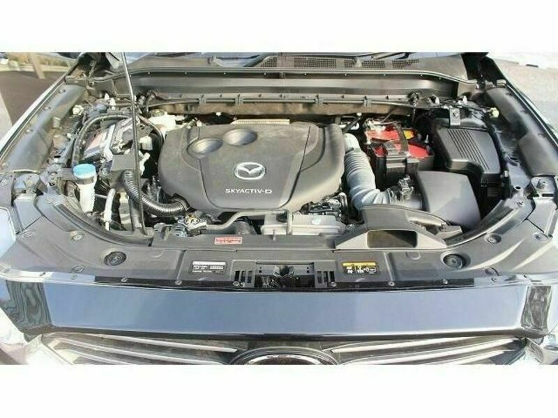 CX-8-18