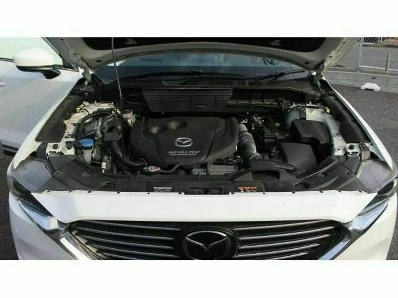 CX-8-18