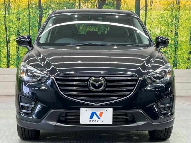 CX-5-13