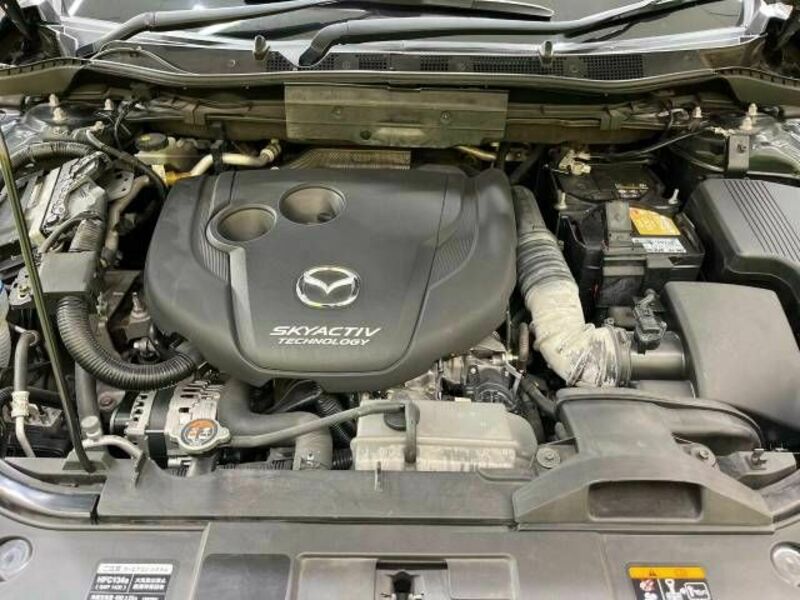 CX-5-17