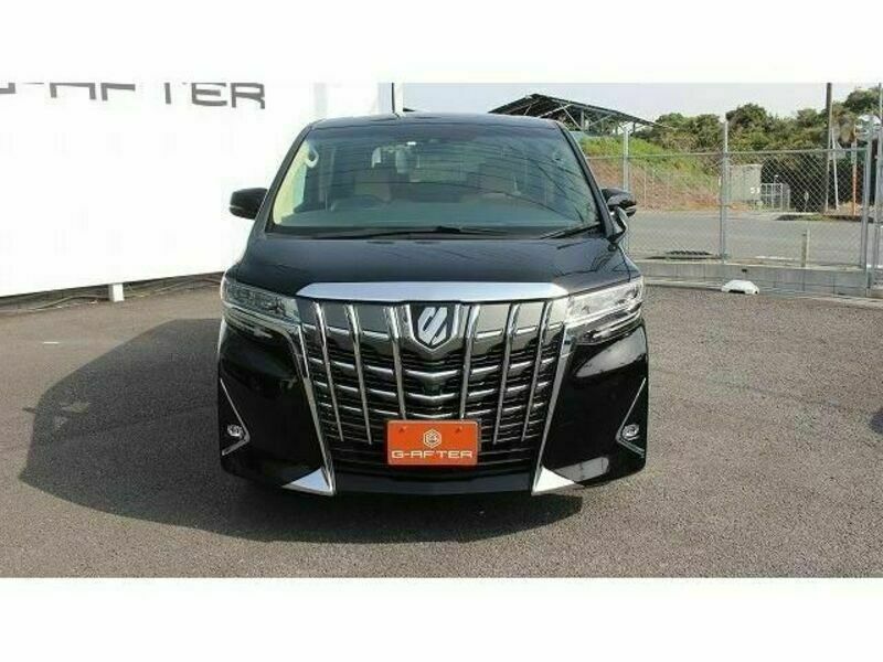 ALPHARD-6