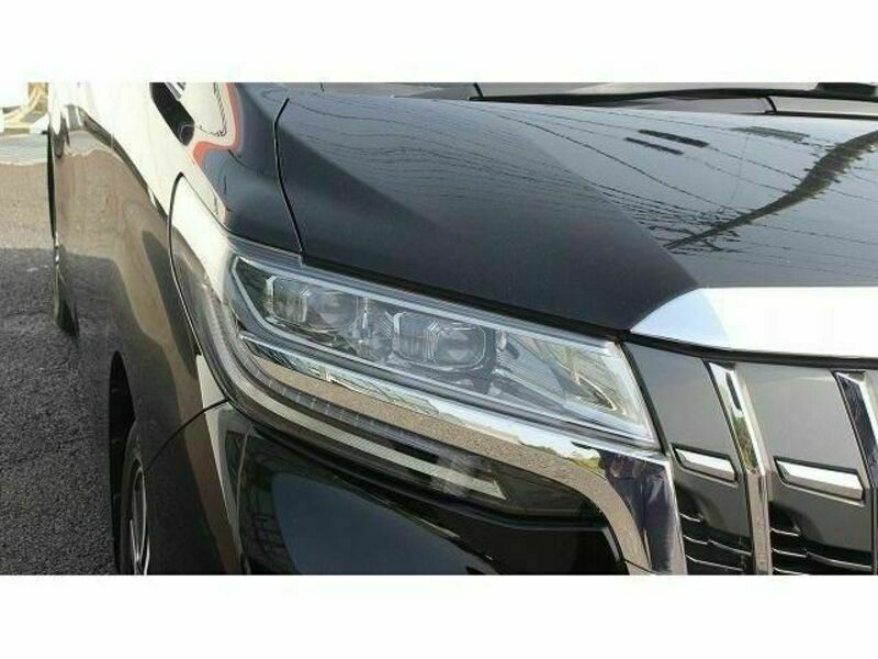 ALPHARD-10