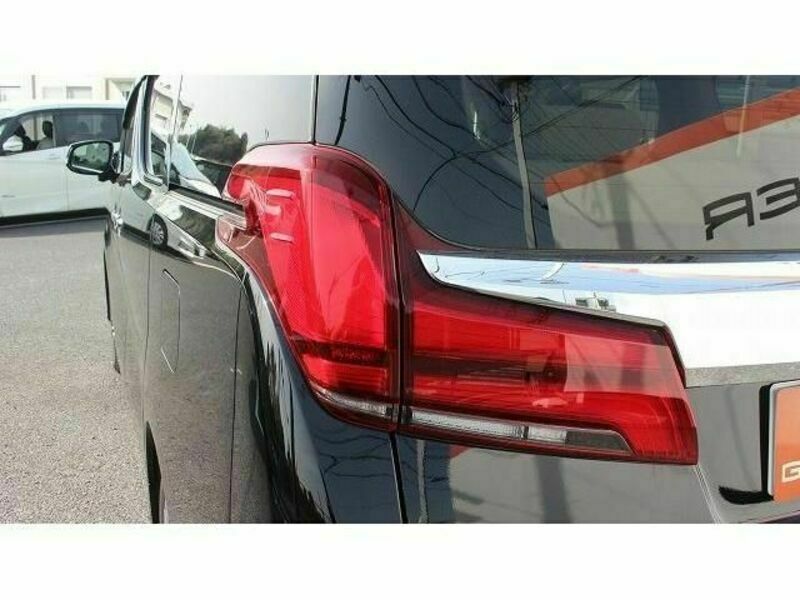ALPHARD-11