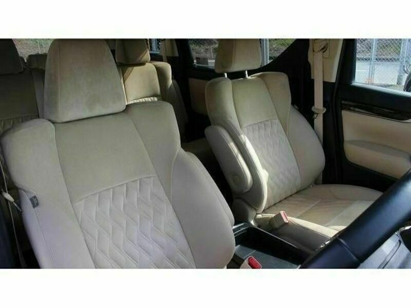 ALPHARD-13
