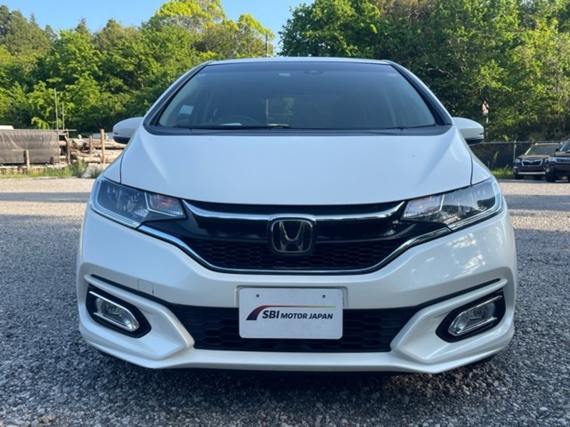 FIT HYBRID-1