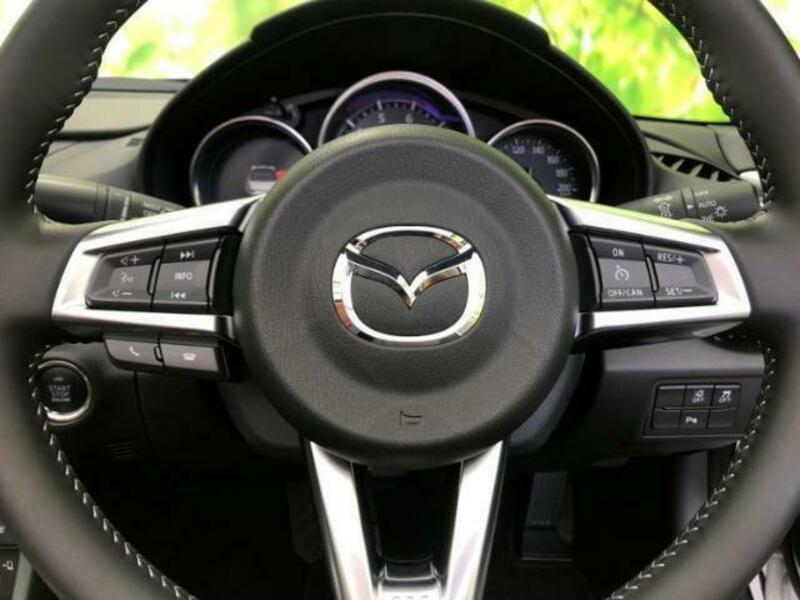ROADSTER