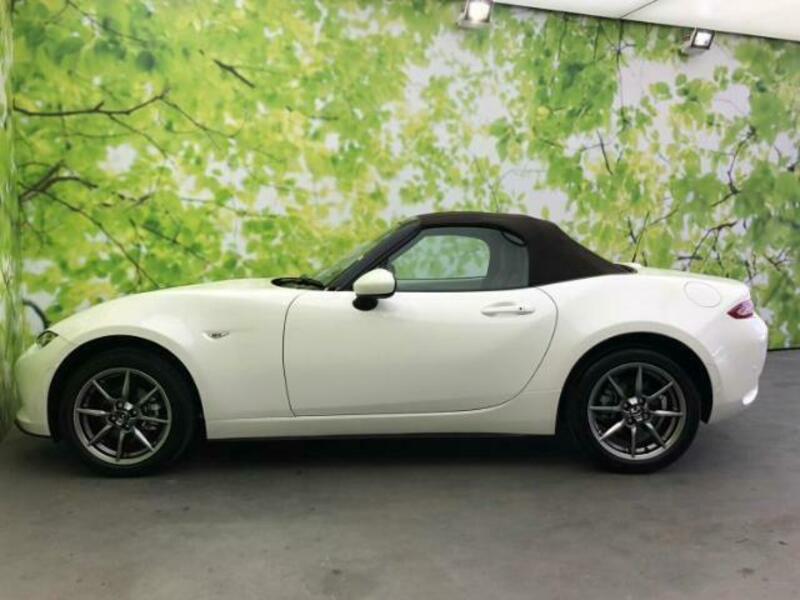 ROADSTER