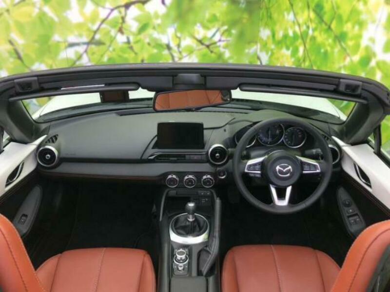 ROADSTER