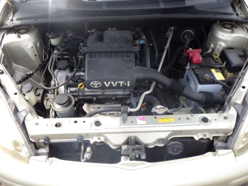 VITZ-18