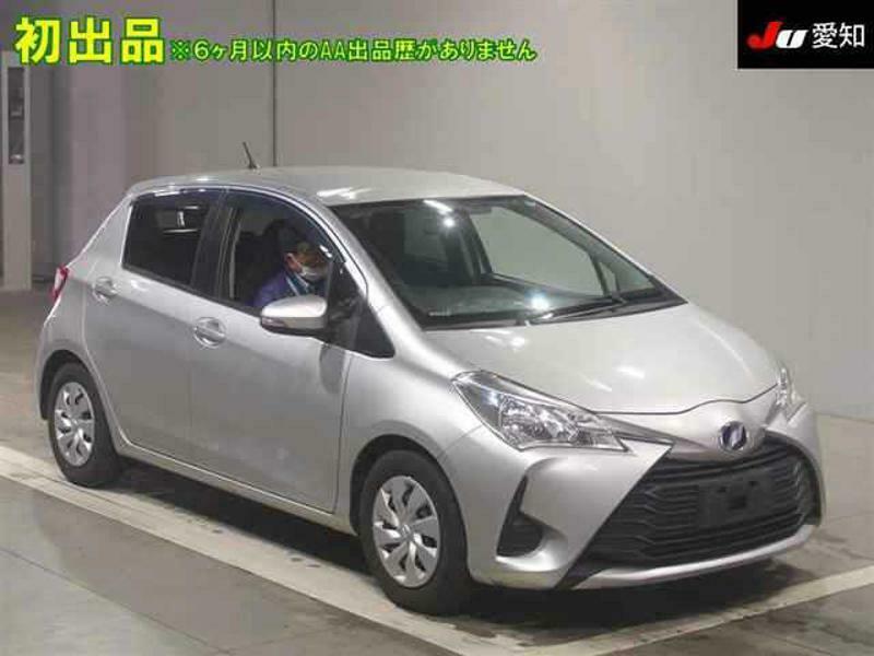 VITZ-31
