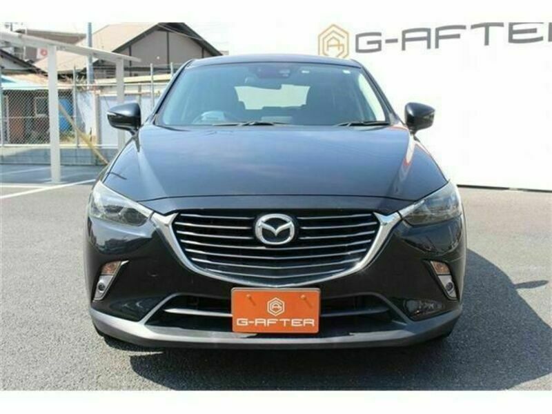 CX-3-6