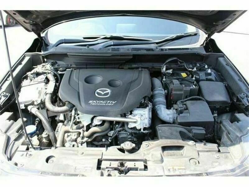 CX-3-18