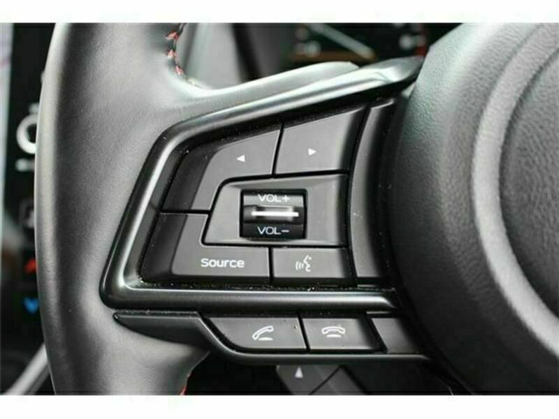 LEVORG-3