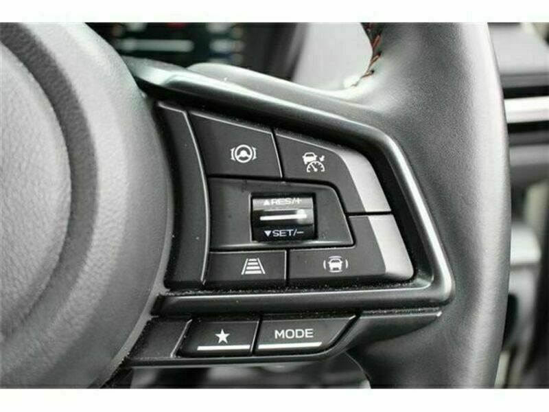 LEVORG-4